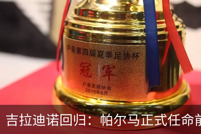 吉拉迪诺回归：帕尔马正式任命前国脚为新任主帅